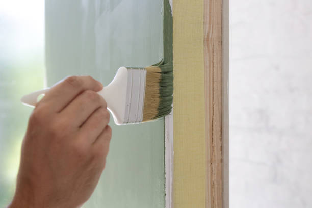 Professional Mold Removal in Paxtang, PA
